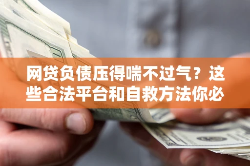 济南网贷负债压得喘不过气?这些合法平台和自救方法你必须知道! 济南网贷负债压得喘不过气?这些合法平台和自救方法你必须知道!